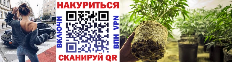 купить наркотики цена  Миасс  Марихуана гибрид 